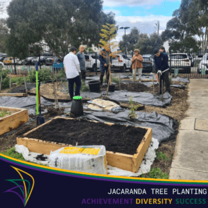 Jacaranda Tree Planting