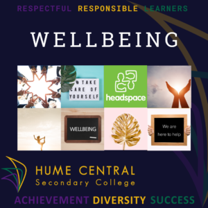 Student Wellbeing Holiday Post